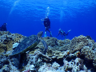 Pa040010