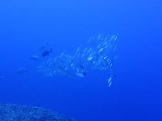 Pa080002