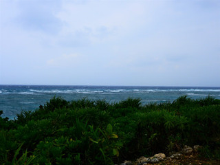 Dscn4720