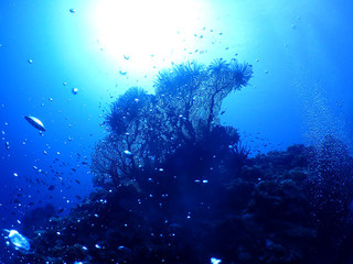 Pa130010