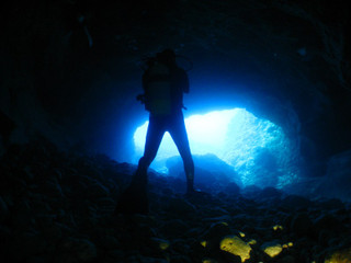 Img_2303 Img_2303