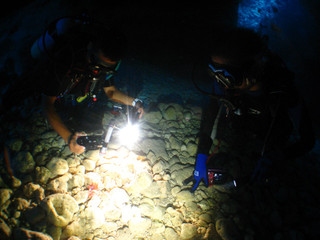Img_2306 Img_2306