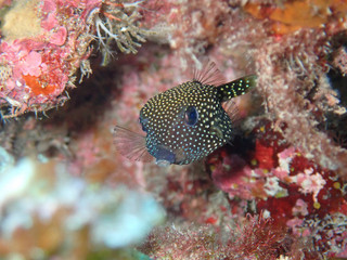 Pa150051 Pa150051
