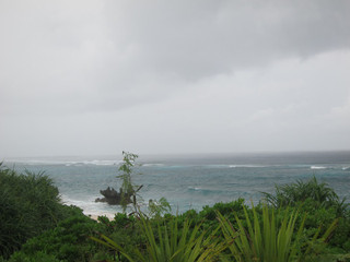 Img_0213 Img_0213