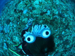 Img_2784 Img_2784