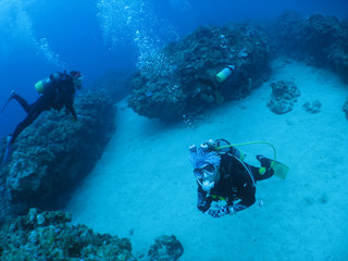 Img_2805 Img_2805
