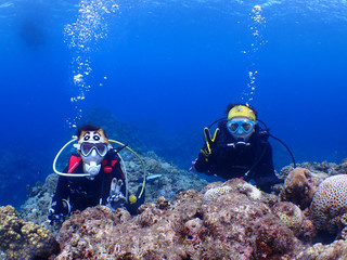 Pa250056_2 Pa250056_2