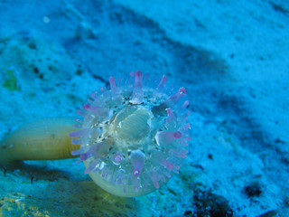 Img_2986 Img_2986