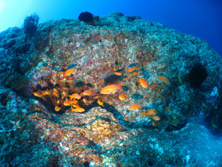 Img_3034 Img_3034