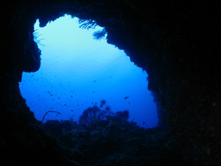 Img_3081 Img_3081