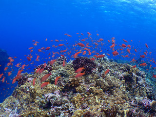 Pa280008 Pa280008