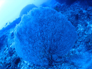 Img_3154_2 Img_3154_2