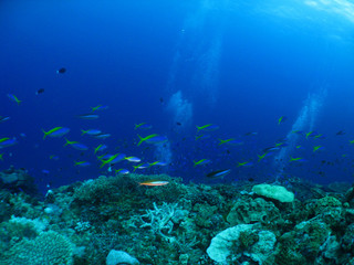 Img_3328_2 Img_3328_2