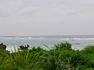 _z500620_2 _z500620_2