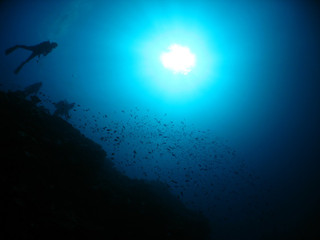 Img_4679_2 Img_4679_2