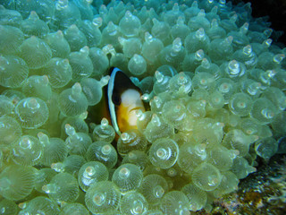 Img_0764_2 Img_0764_2