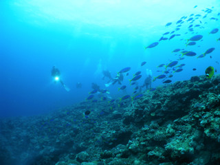 Img_0574 Img_0574