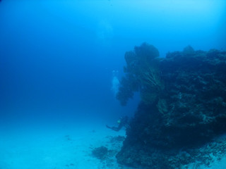 Img_1171 Img_1171