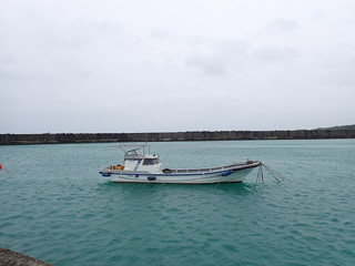 P6010110