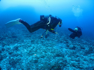 Img_1595 Img_1595