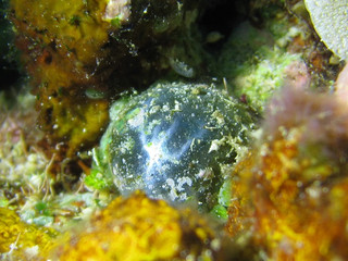 Img_2276 Img_2276