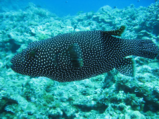 Img_2432 Img_2432