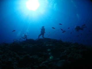 Img_3045 Img_3045