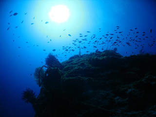 Img_3054 Img_3054