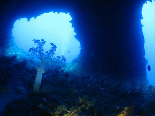 Img_3097 Img_3097