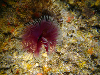 Img_3324 Img_3324