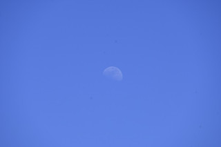 _z503139