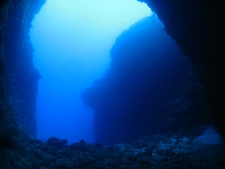 Img_3687 Img_3687