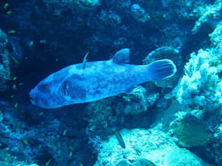 Img_3778 Img_3778