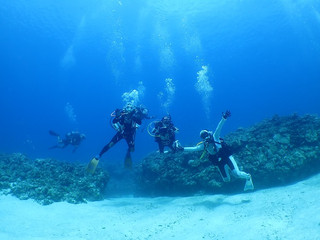 _8020010 _8020010