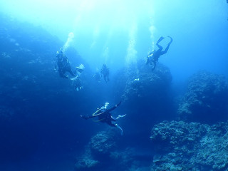 _8020030 _8020030