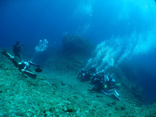 Img_3821 Img_3821