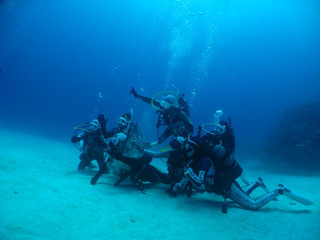 Img_3906