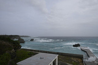 _z503218 _z503218