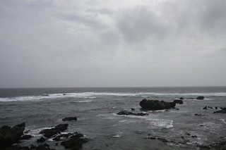 _z503222 _z503222