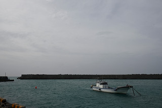 _z503244 _z503244