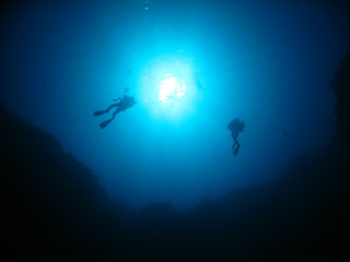 Img_4036 Img_4036