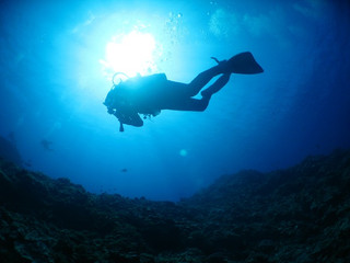 Img_4183 Img_4183