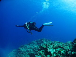 Img_4238 Img_4238