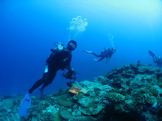 Img_4274 Img_4274
