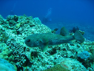 Img_4284 Img_4284