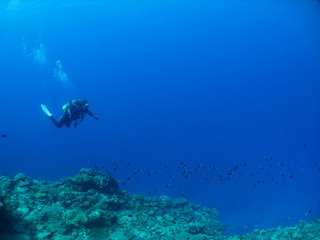 Img_4310 Img_4310