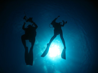 Img_4321 Img_4321