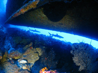 Img_4364 Img_4364