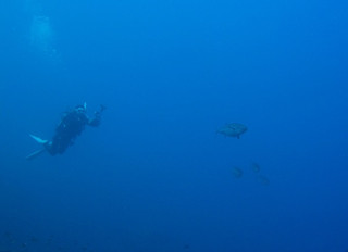 Img_4404 Img_4404