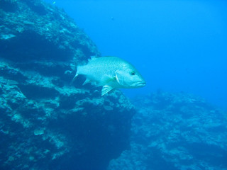 Img_4409 Img_4409